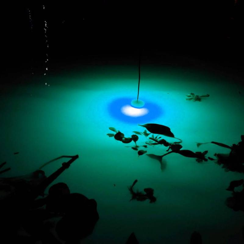 Mini Fishing Attraction Lamp G – Fishing Boat Navigation Light Bewertung und Preis